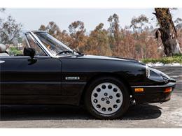 1989 Alfa Romeo Spider Quadrifoglio (CC-2081365) for sale in Beverly Hills, California