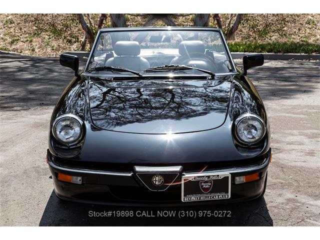 1989 Alfa Romeo Spider Quadrifoglio (CC-2081365) for sale in Beverly Hills, California
