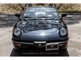 1989 Alfa Romeo Spider Quadrifoglio (CC-2081365) for sale in Beverly Hills, California