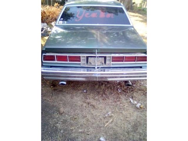 1978 Chevrolet Caprice Classic (CC-2081366) for sale in Cadillac, Michigan