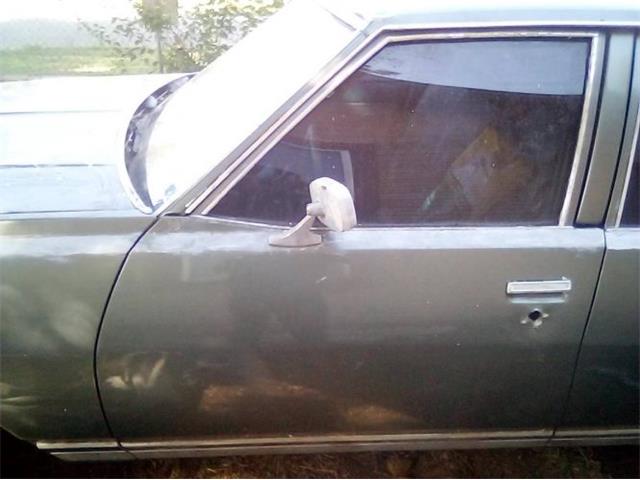 1978 Chevrolet Caprice Classic (CC-2081366) for sale in Cadillac, Michigan