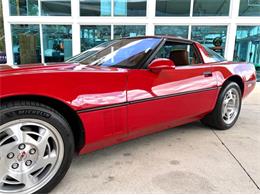 1990 Chevrolet Corvette (CC-2081376) for sale in Bradenton, Florida