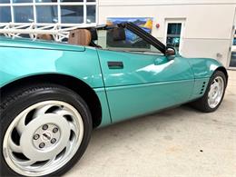 1991 Chevrolet Corvette (CC-2081381) for sale in Bradenton, Florida