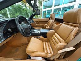 1991 Chevrolet Corvette (CC-2081381) for sale in Bradenton, Florida