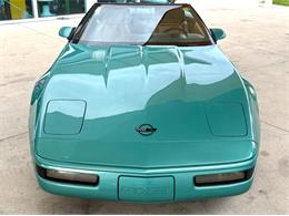 1991 Chevrolet Corvette (CC-2081381) for sale in Bradenton, Florida