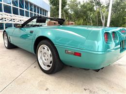1991 Chevrolet Corvette (CC-2081381) for sale in Bradenton, Florida