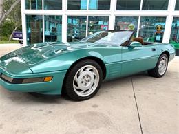 1991 Chevrolet Corvette (CC-2081381) for sale in Bradenton, Florida