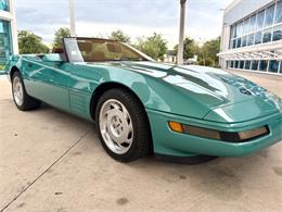 1991 Chevrolet Corvette (CC-2081381) for sale in Bradenton, Florida