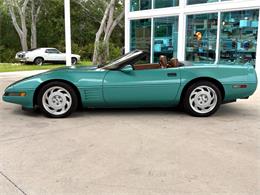 1991 Chevrolet Corvette (CC-2081381) for sale in Bradenton, Florida