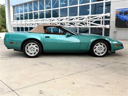 1991 Chevrolet Corvette (CC-2081381) for sale in Bradenton, Florida