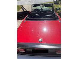 1986 Alfa Romeo Spider Veloce (CC-2081383) for sale in Cadillac, Michigan