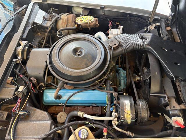 1978 Chevrolet Corvette (CC-2081392) for sale in Bradenton, Florida