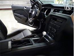 2010 Ford Shelby GT500  (CC-2081397) for sale in O'Fallon, Illinois
