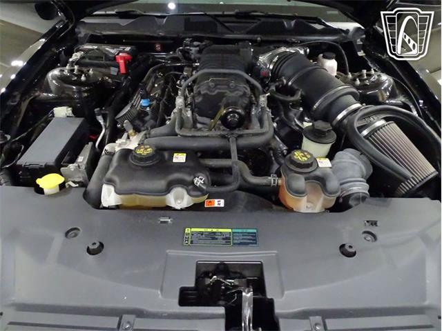 2010 Ford Shelby GT500  (CC-2081397) for sale in O'Fallon, Illinois