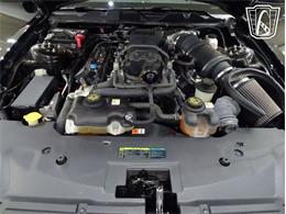 2010 Ford Shelby GT500  (CC-2081397) for sale in O'Fallon, Illinois