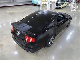2010 Ford Shelby GT500  (CC-2081397) for sale in O'Fallon, Illinois