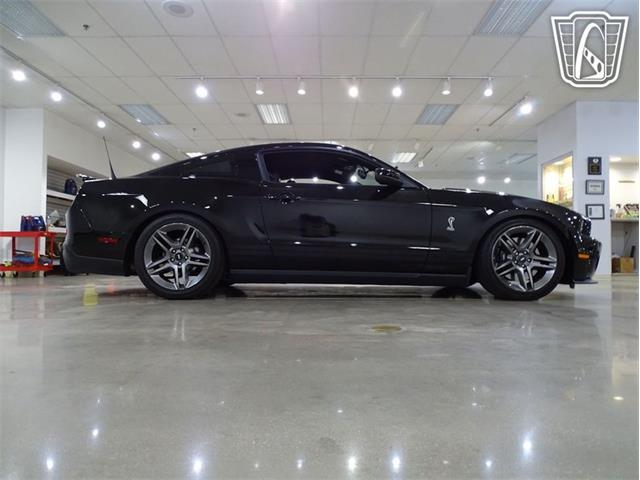 2010 Ford Shelby GT500  (CC-2081397) for sale in O'Fallon, Illinois