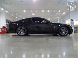 2010 Ford Shelby GT500  (CC-2081397) for sale in O'Fallon, Illinois