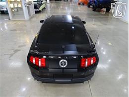 2010 Ford Shelby GT500  (CC-2081397) for sale in O'Fallon, Illinois