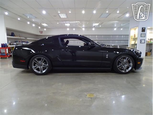 2010 Ford Shelby GT500  (CC-2081397) for sale in O'Fallon, Illinois