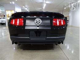 2010 Ford Shelby GT500  (CC-2081397) for sale in O'Fallon, Illinois