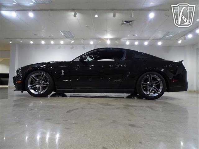 2010 Ford Shelby GT500  (CC-2081397) for sale in O'Fallon, Illinois