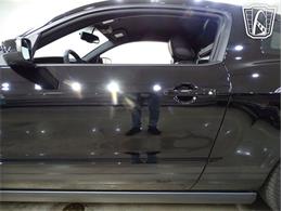 2010 Ford Shelby GT500  (CC-2081397) for sale in O'Fallon, Illinois