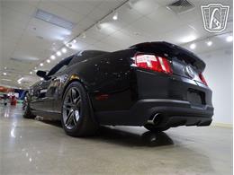 2010 Ford Shelby GT500  (CC-2081397) for sale in O'Fallon, Illinois