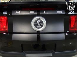 2010 Ford Shelby GT500  (CC-2081397) for sale in O'Fallon, Illinois