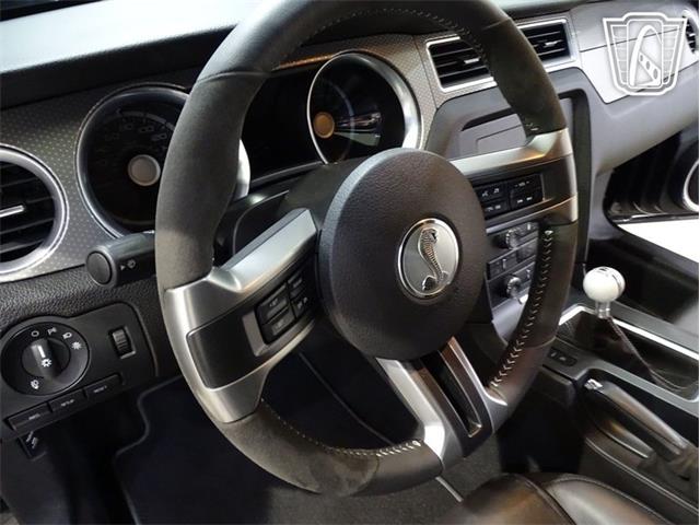 2010 Ford Shelby GT500  (CC-2081397) for sale in O'Fallon, Illinois