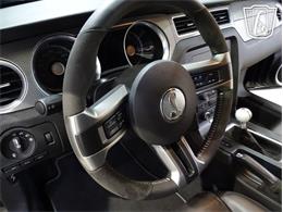 2010 Ford Shelby GT500  (CC-2081397) for sale in O'Fallon, Illinois