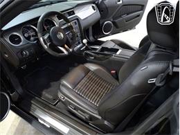 2010 Ford Shelby GT500  (CC-2081397) for sale in O'Fallon, Illinois