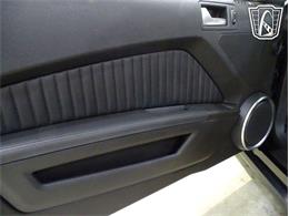 2010 Ford Shelby GT500  (CC-2081397) for sale in O'Fallon, Illinois