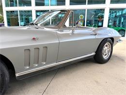 1966 Chevrolet Corvette (CC-2081399) for sale in Bradenton, Florida
