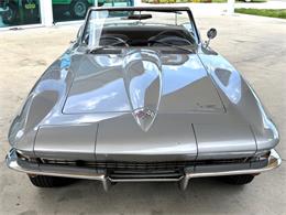 1966 Chevrolet Corvette (CC-2081399) for sale in Bradenton, Florida
