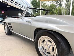 1966 Chevrolet Corvette (CC-2081399) for sale in Bradenton, Florida
