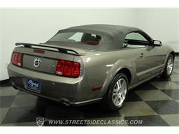 2005 Ford Mustang (CC-2081401) for sale in Lutz, Florida