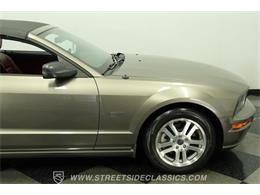 2005 Ford Mustang (CC-2081401) for sale in Lutz, Florida