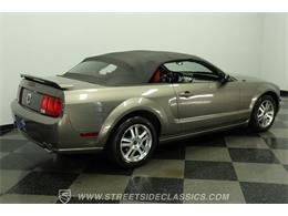2005 Ford Mustang (CC-2081401) for sale in Lutz, Florida