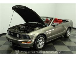 2005 Ford Mustang (CC-2081401) for sale in Lutz, Florida
