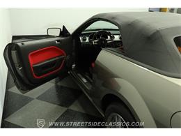 2005 Ford Mustang (CC-2081401) for sale in Lutz, Florida