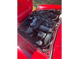 1986 Alfa Romeo Spider Veloce (CC-2081413) for sale in Cadillac, Michigan