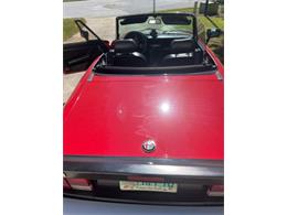 1986 Alfa Romeo Spider Veloce (CC-2081413) for sale in Cadillac, Michigan