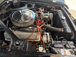 1969 Mercury Cougar (CC-2081422) for sale in Bradenton, Florida