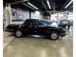 1987 Alfa Romeo Spider Veloce (CC-2081425) for sale in Cadillac, Michigan