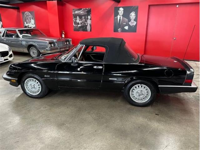 1987 Alfa Romeo Spider Veloce (CC-2081425) for sale in Cadillac, Michigan