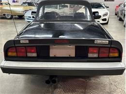 1987 Alfa Romeo Spider Veloce (CC-2081425) for sale in Cadillac, Michigan