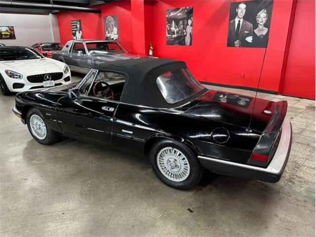 1987 Alfa Romeo Spider Veloce (CC-2081425) for sale in Cadillac, Michigan