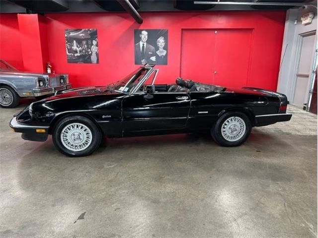 1987 Alfa Romeo Spider Veloce (CC-2081425) for sale in Cadillac, Michigan