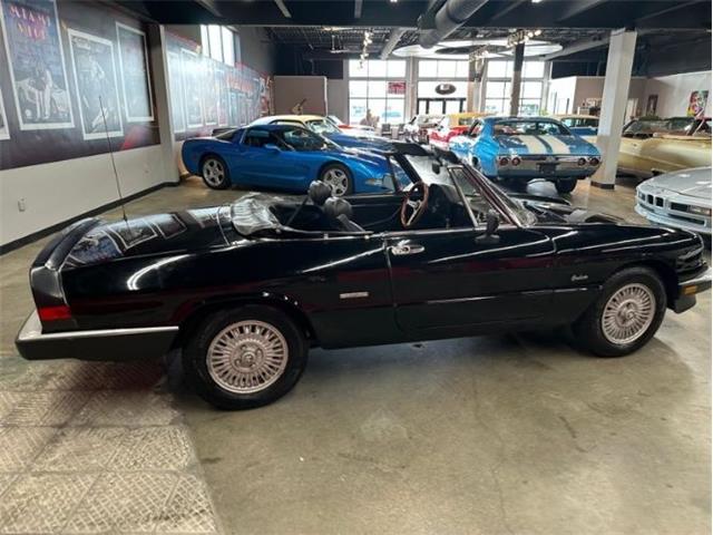 1987 Alfa Romeo Spider Veloce (CC-2081425) for sale in Cadillac, Michigan